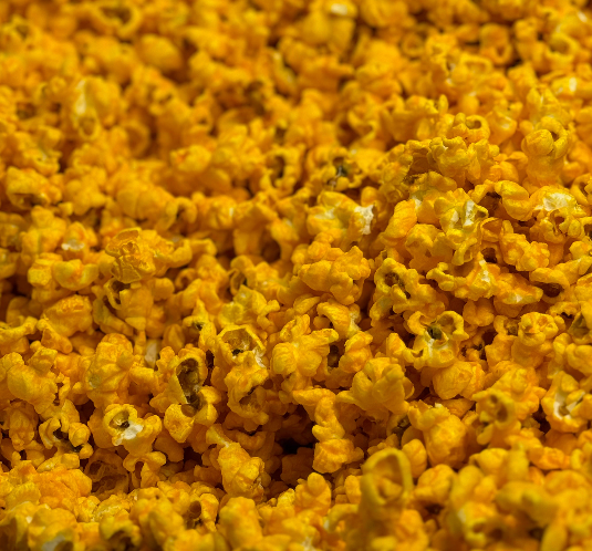 Cheesy Cheese